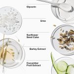 Clinique Dramatically Different Daily Moisturizing Lotion+ For Dry To Dry Combination Skin Types With Glycerin + Urea | Hydrating - Image 3